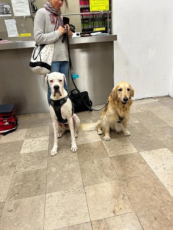 AEROPET SERVICES