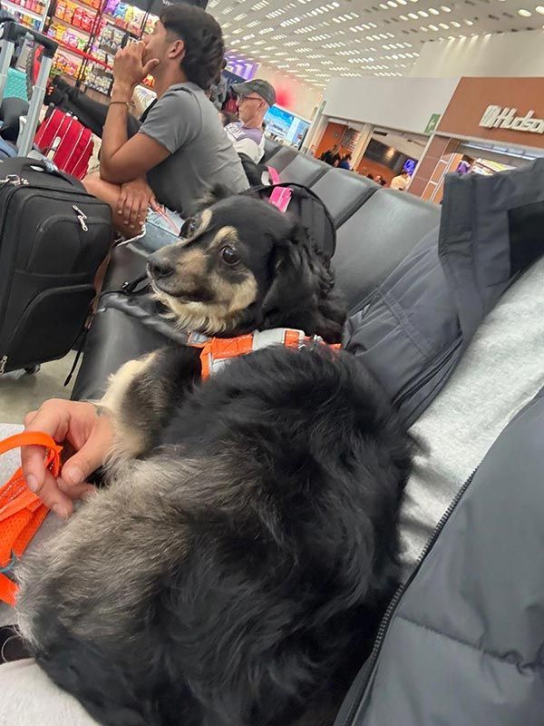 AEROPET SERVICES