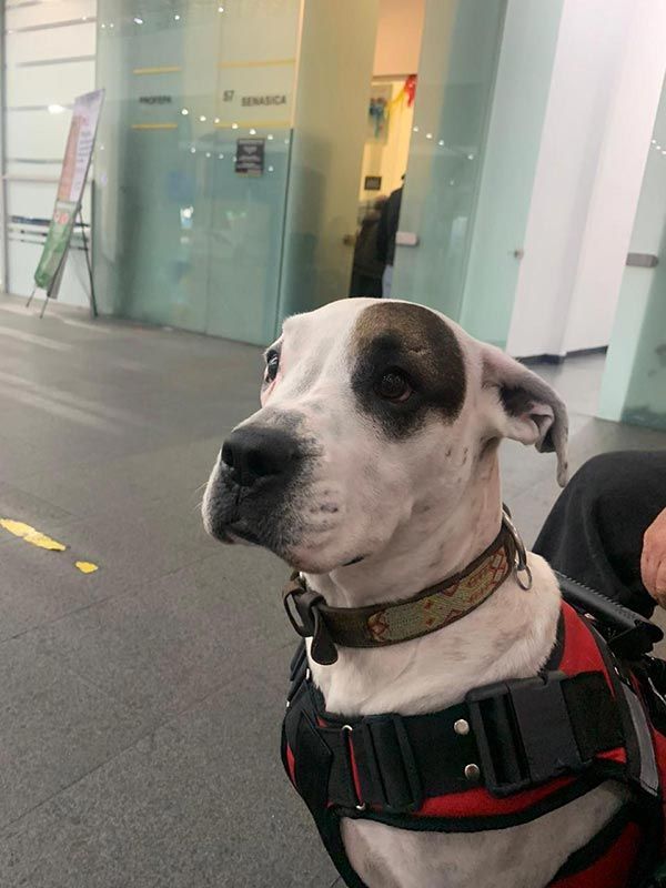 AEROPET SERVICES