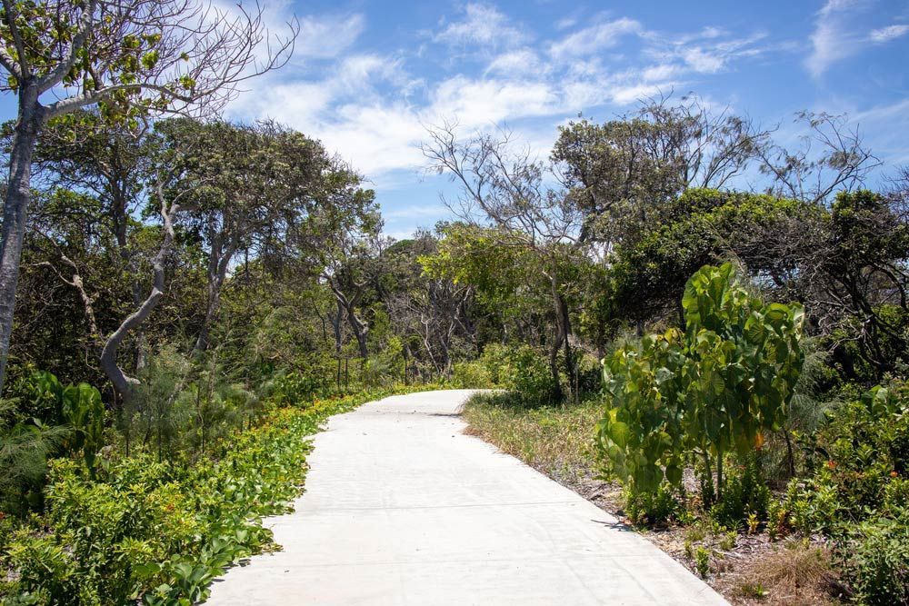Pathway Near The Trees — Mobile Scissor Sharpening in Sunshine Coast, QLD