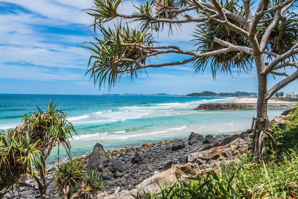 Hidden Outlook On Bay — Mobile Scissor Sharpening in Gold Coast, QLD