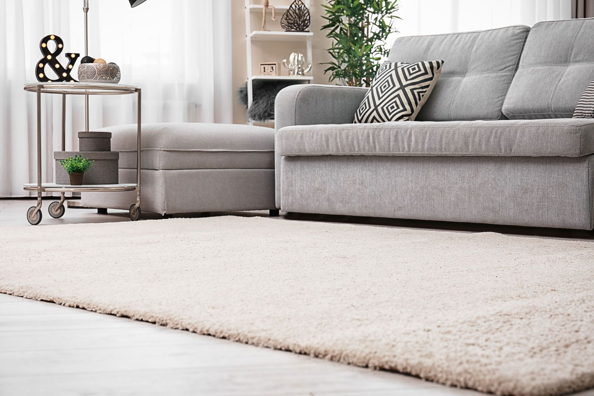 A living room with a couch and a rug on the floor.