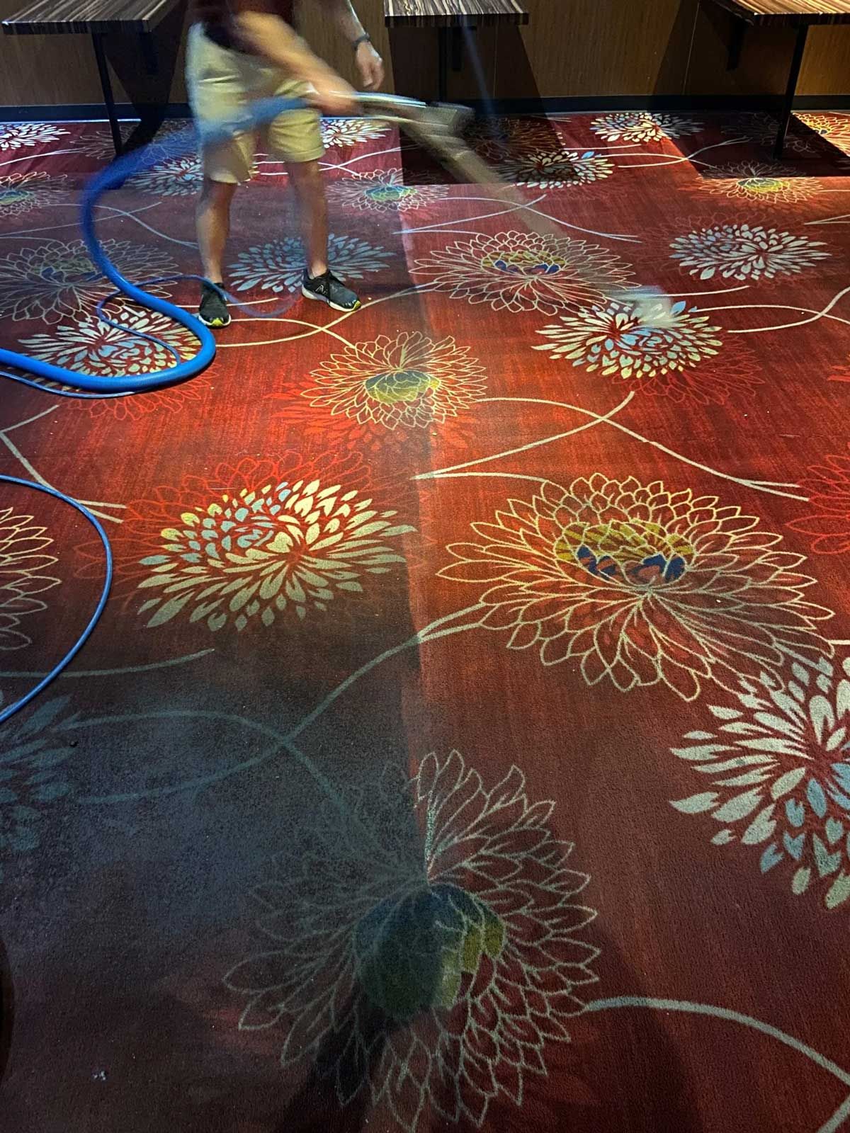 Home Carpet Cleaning Services Kearney, NE