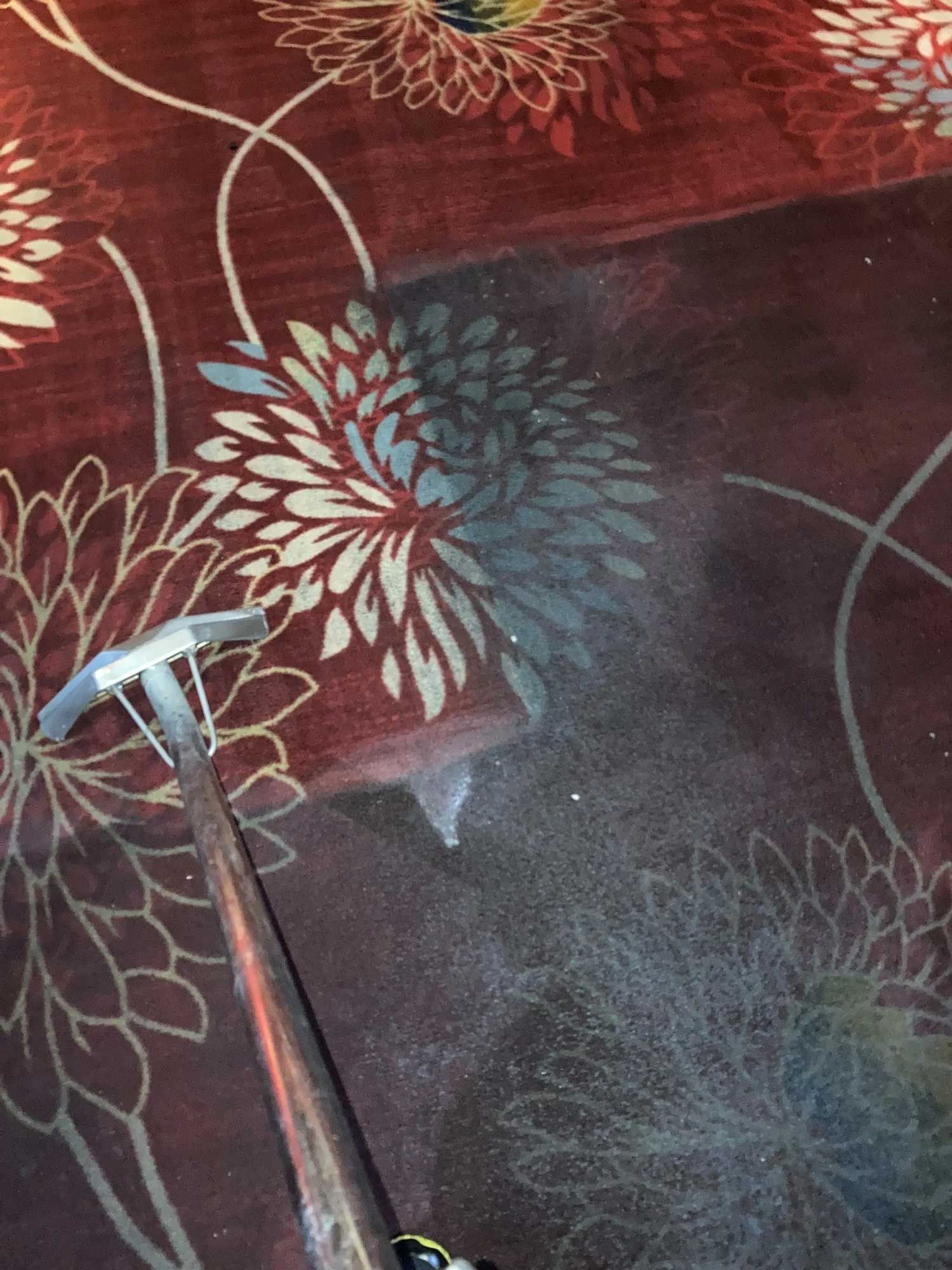 Home Carpet Cleaning Services Kearney, NE