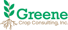 Greene Gazette newsletter