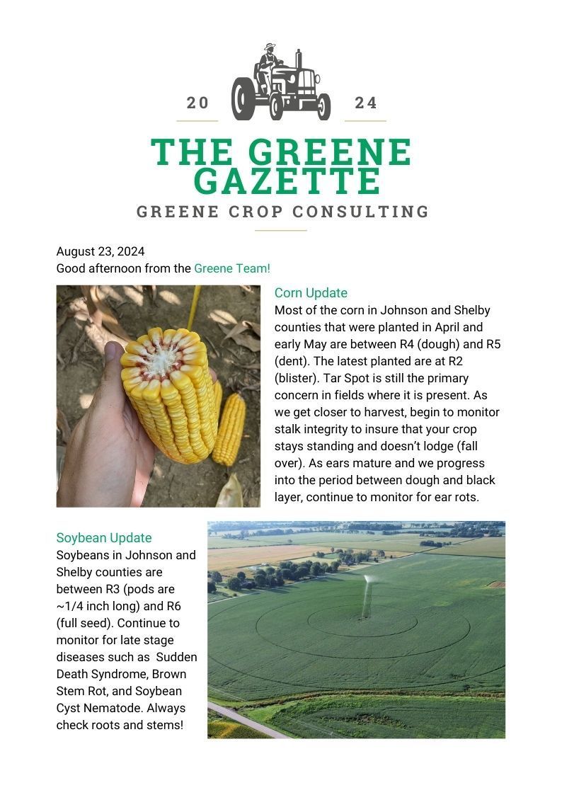 Greene Gazette newsletter 