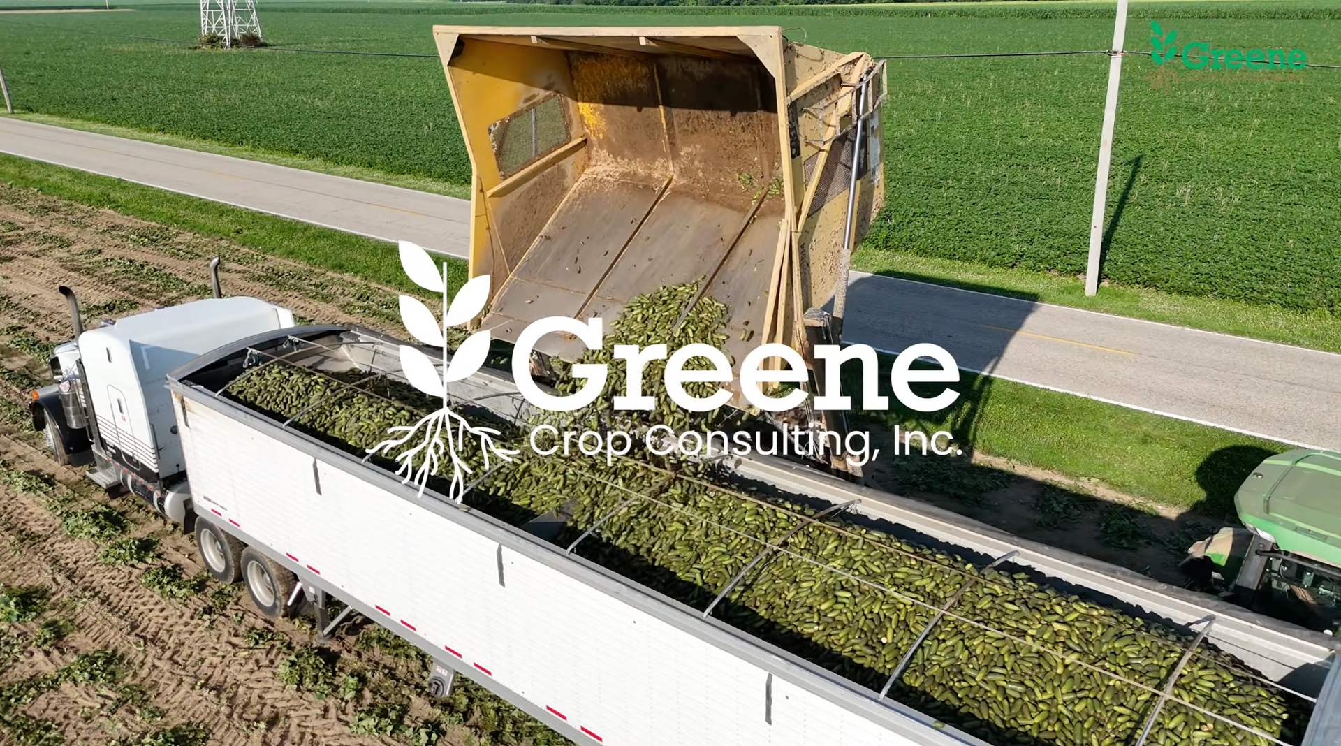 Greene Gazette newsletter 