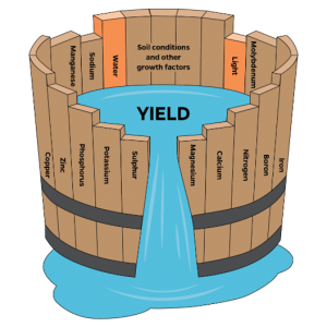 Liebigs Law