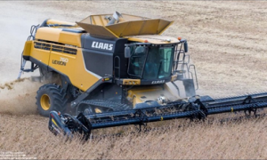 Yellow CLAAS combine harvester cutting grain in a field