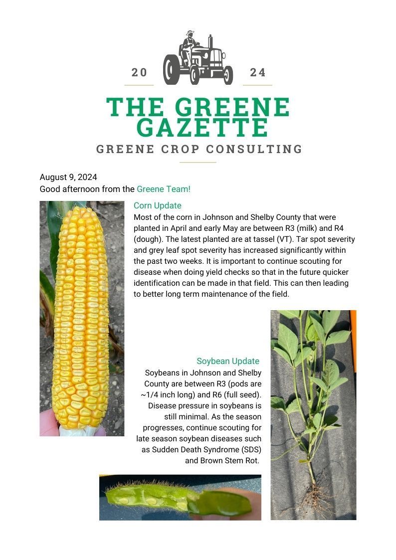 Greene Gazette newsletter 