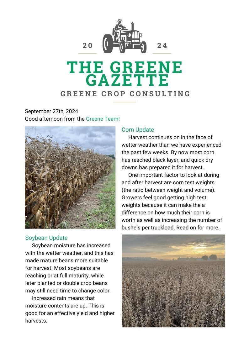 Greene Gazette newsletter 