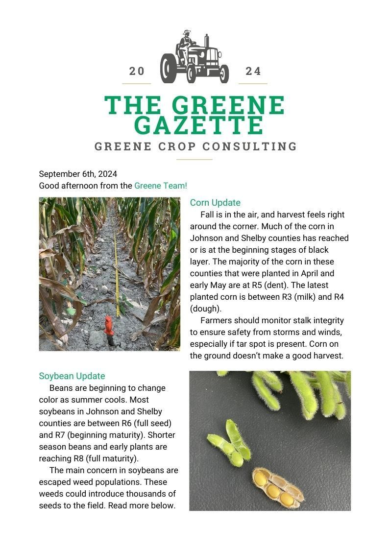 Greene Gazette newsletter 