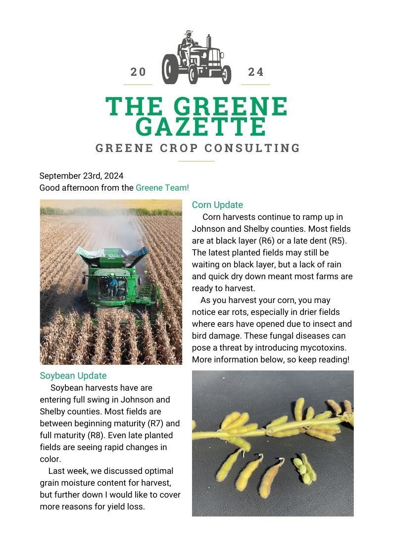 Greene Gazette newsletter 