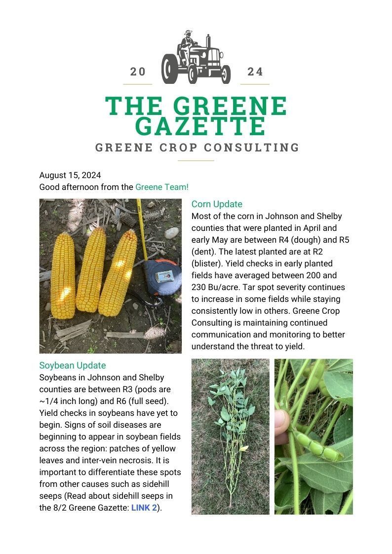 Greene Gazette newsletter 