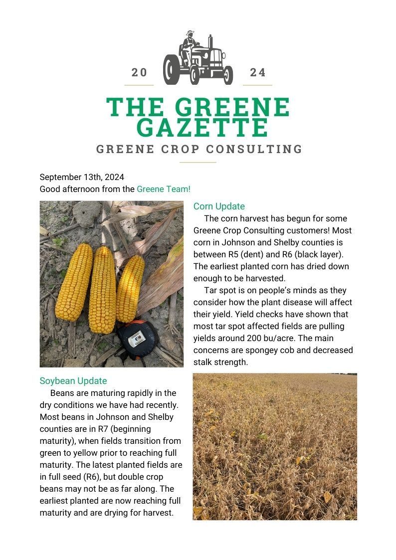 Greene Gazette newsletter 