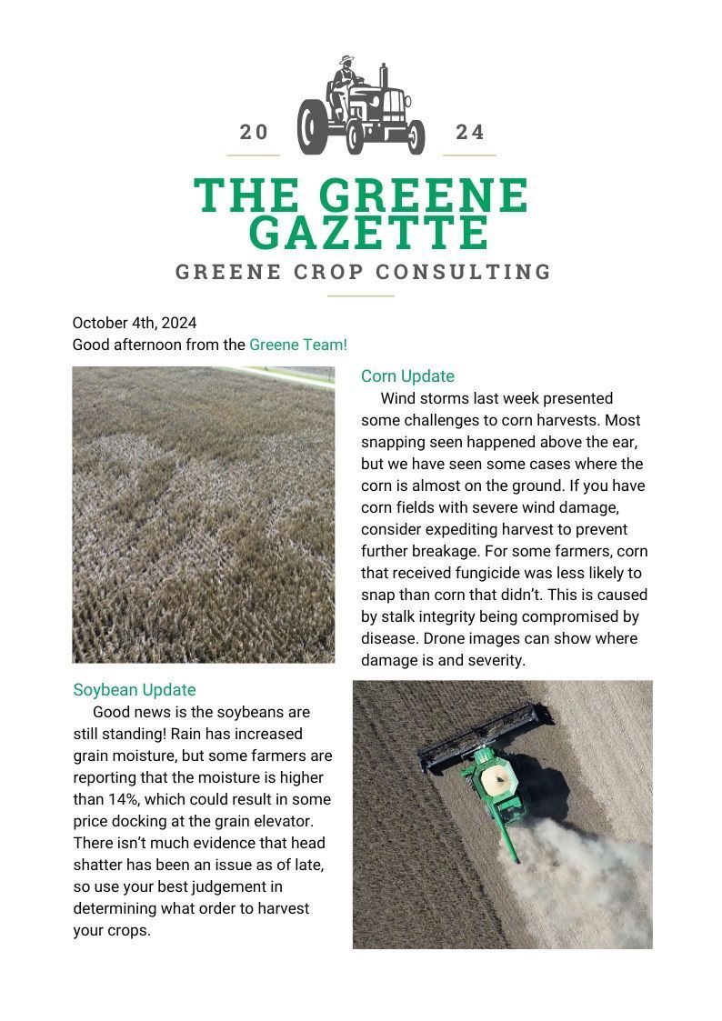 Greene Gazette newsletter 