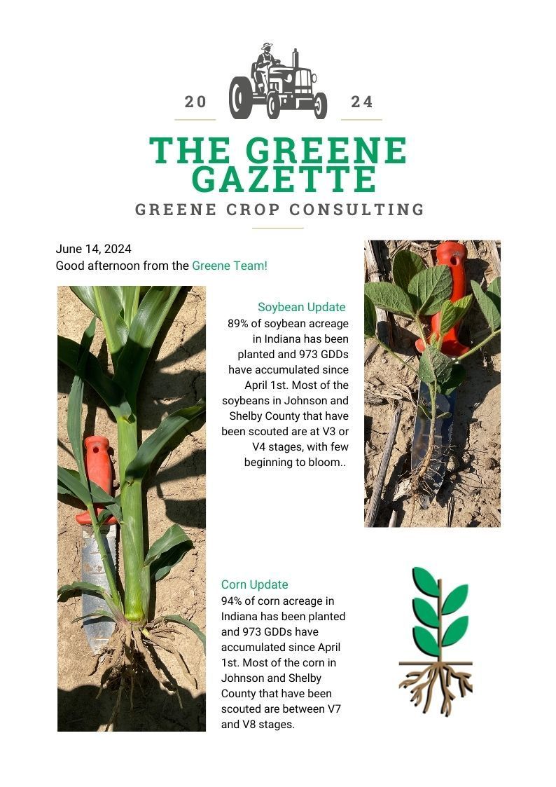 Greene Gazette newsletter 