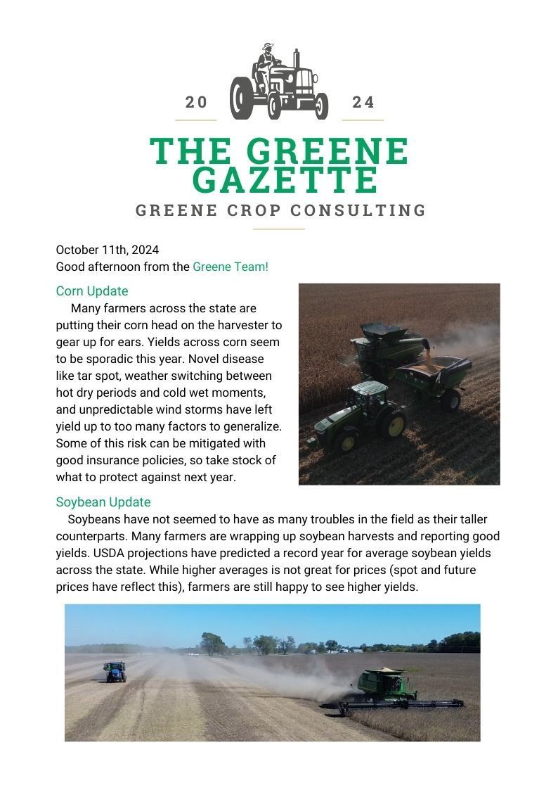 Greene Gazette newsletter 