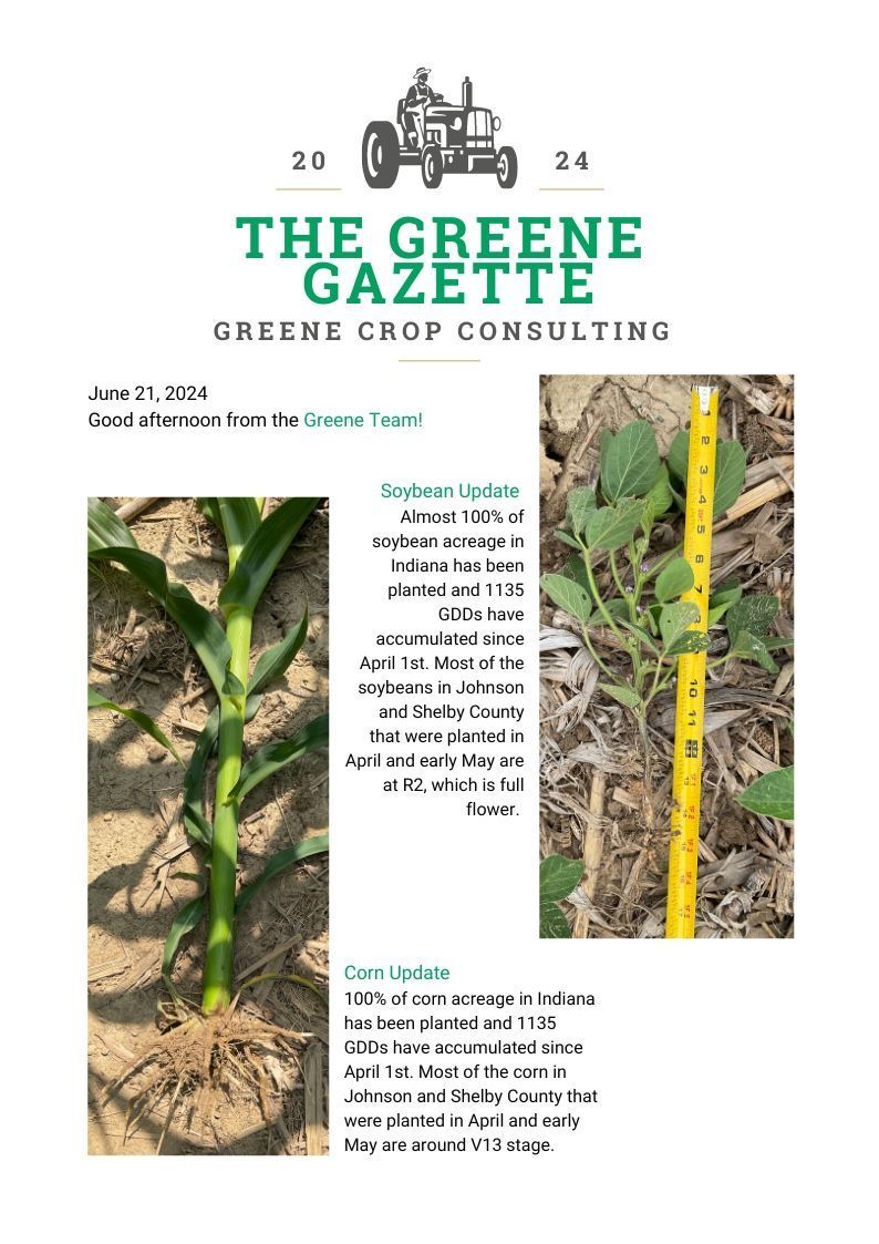 Greene Gazette newsletter 