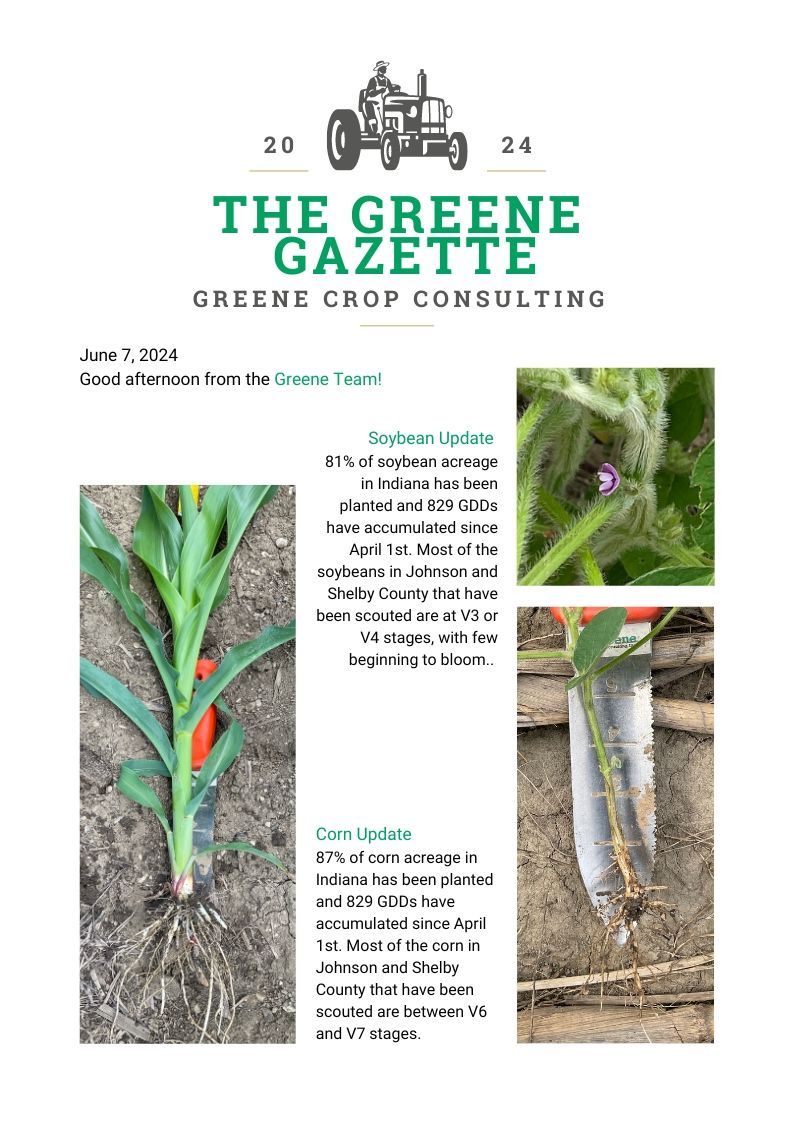 Greene Gazette newsletter 