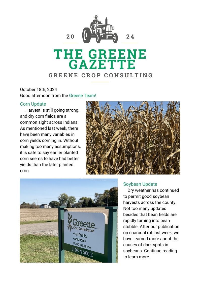 Greene Gazette newsletter 