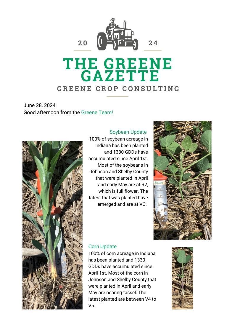 Greene Gazette newsletter 