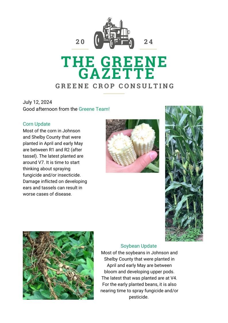 Greene Gazette newsletter 