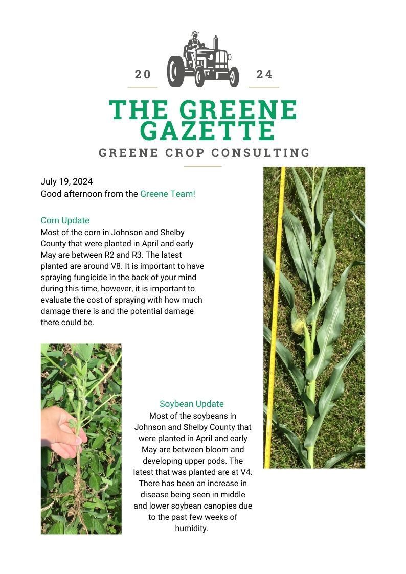Greene Gazette newsletter 