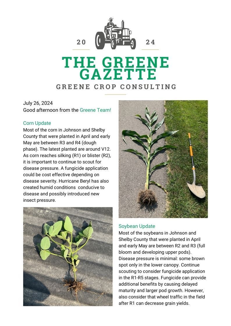 Greene Gazette newsletter 