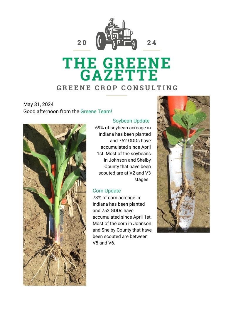 The Greene Gazette newsletter cover with photos of a plant root and stem damage
