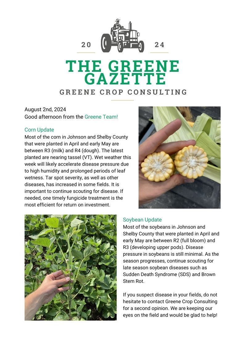 Greene Gazette newsletter 