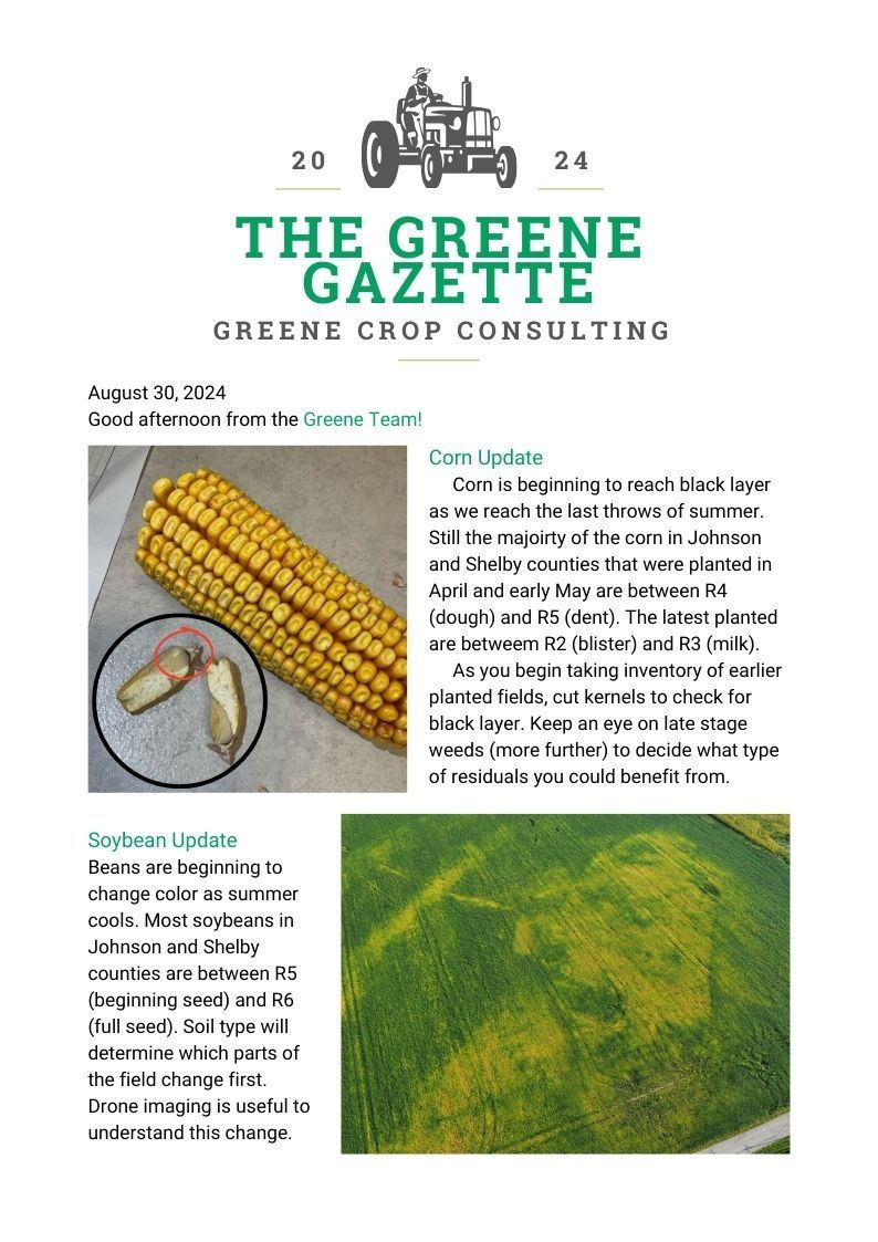 Greene Gazette newsletter 