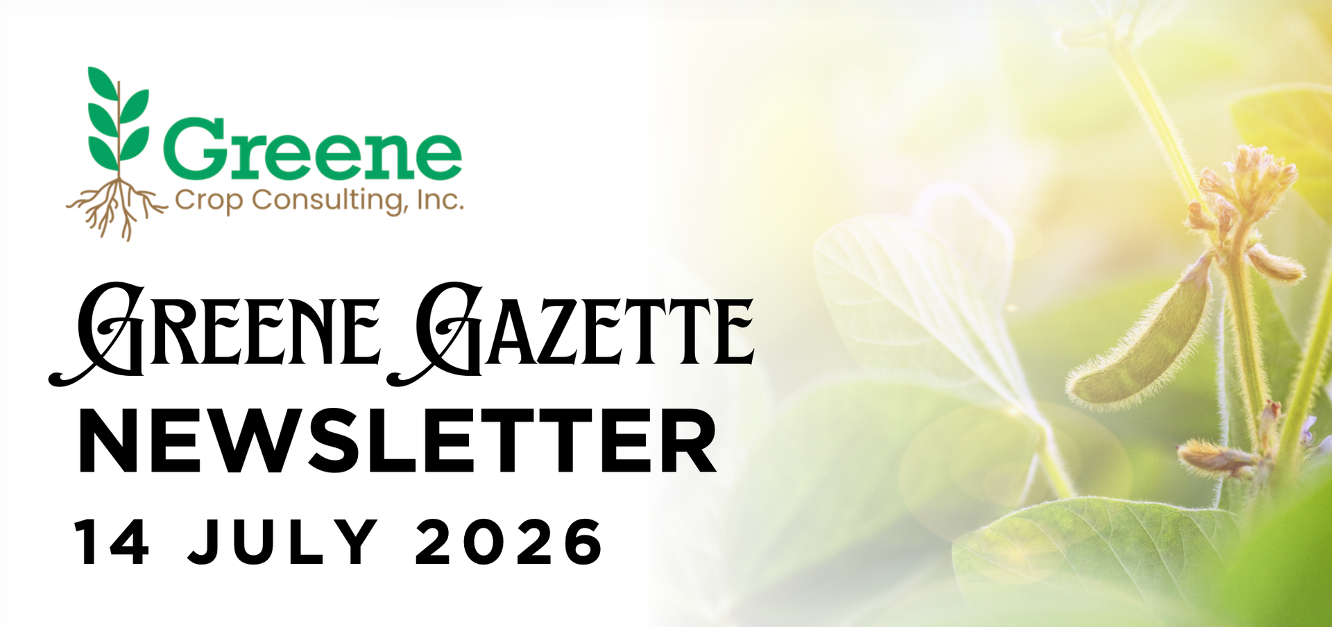 Greene Gazette newsletter