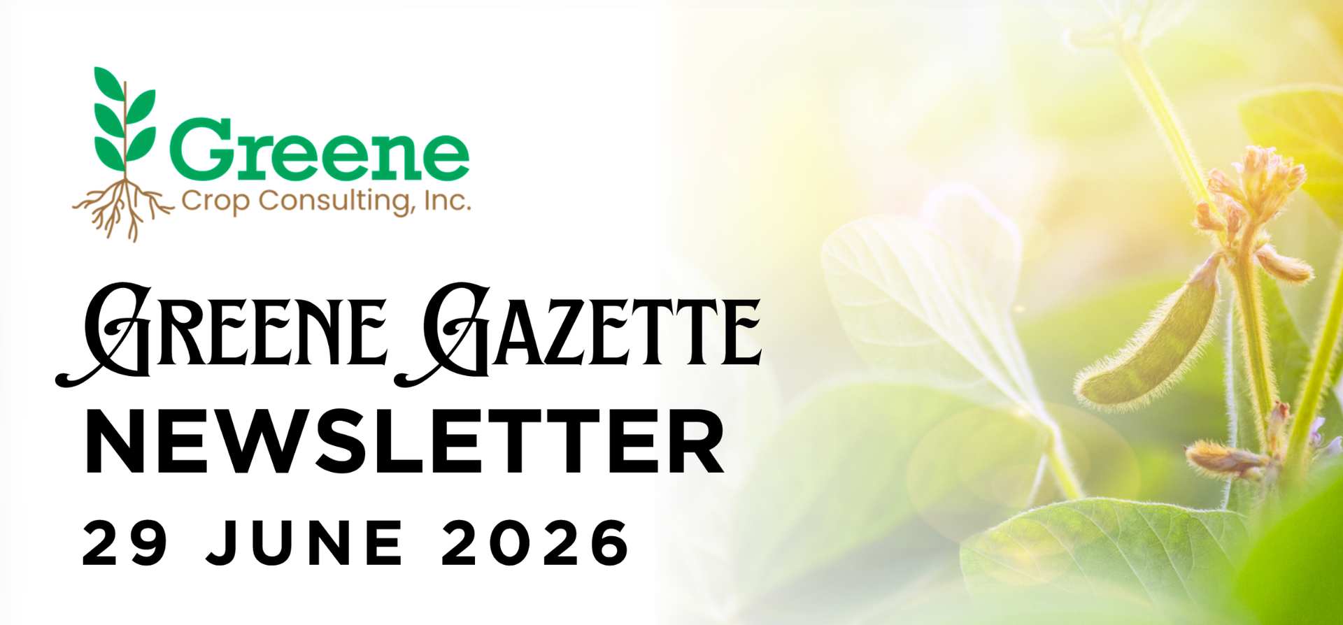 Greene Gazette newsletter 