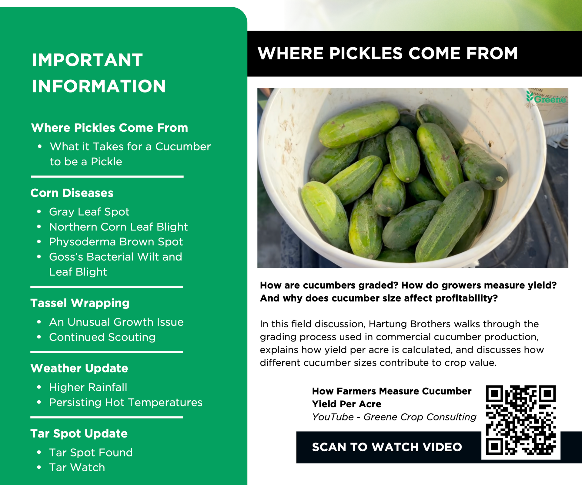 Greene Gazette newsletter 