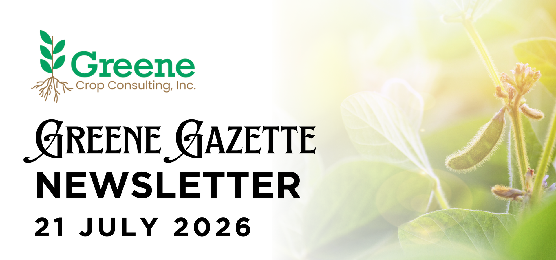 Greene Gazette newsletter 