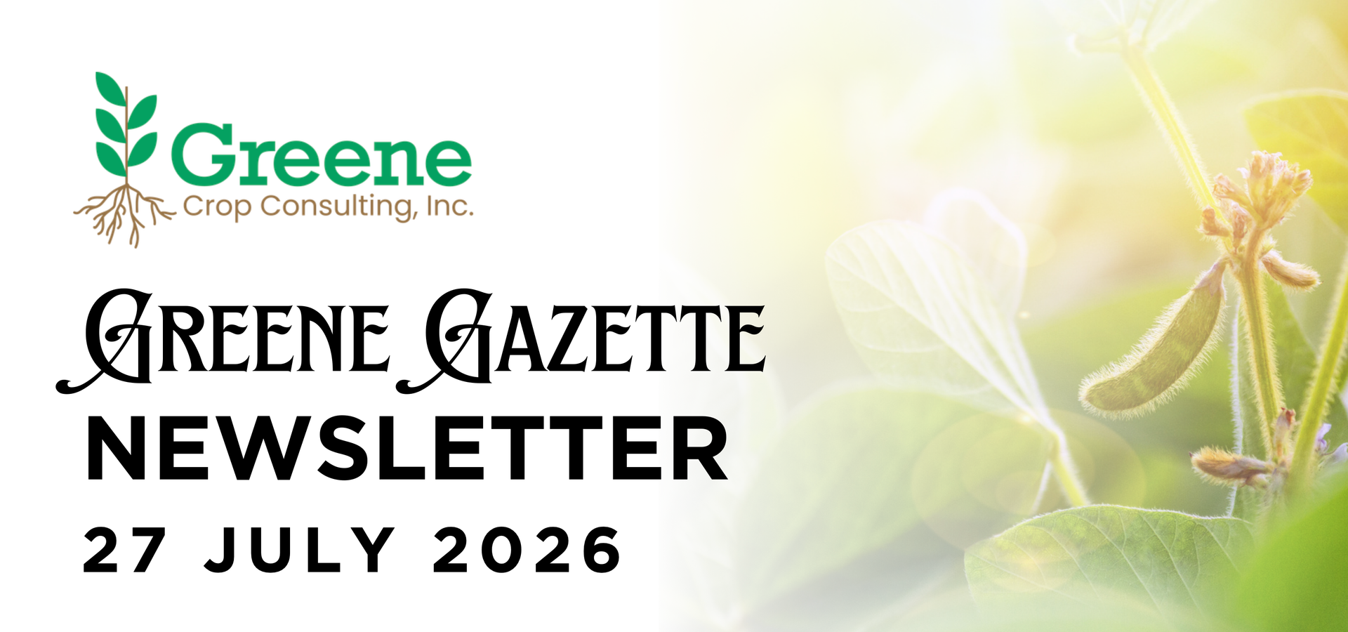 Greene Gazette newsletter