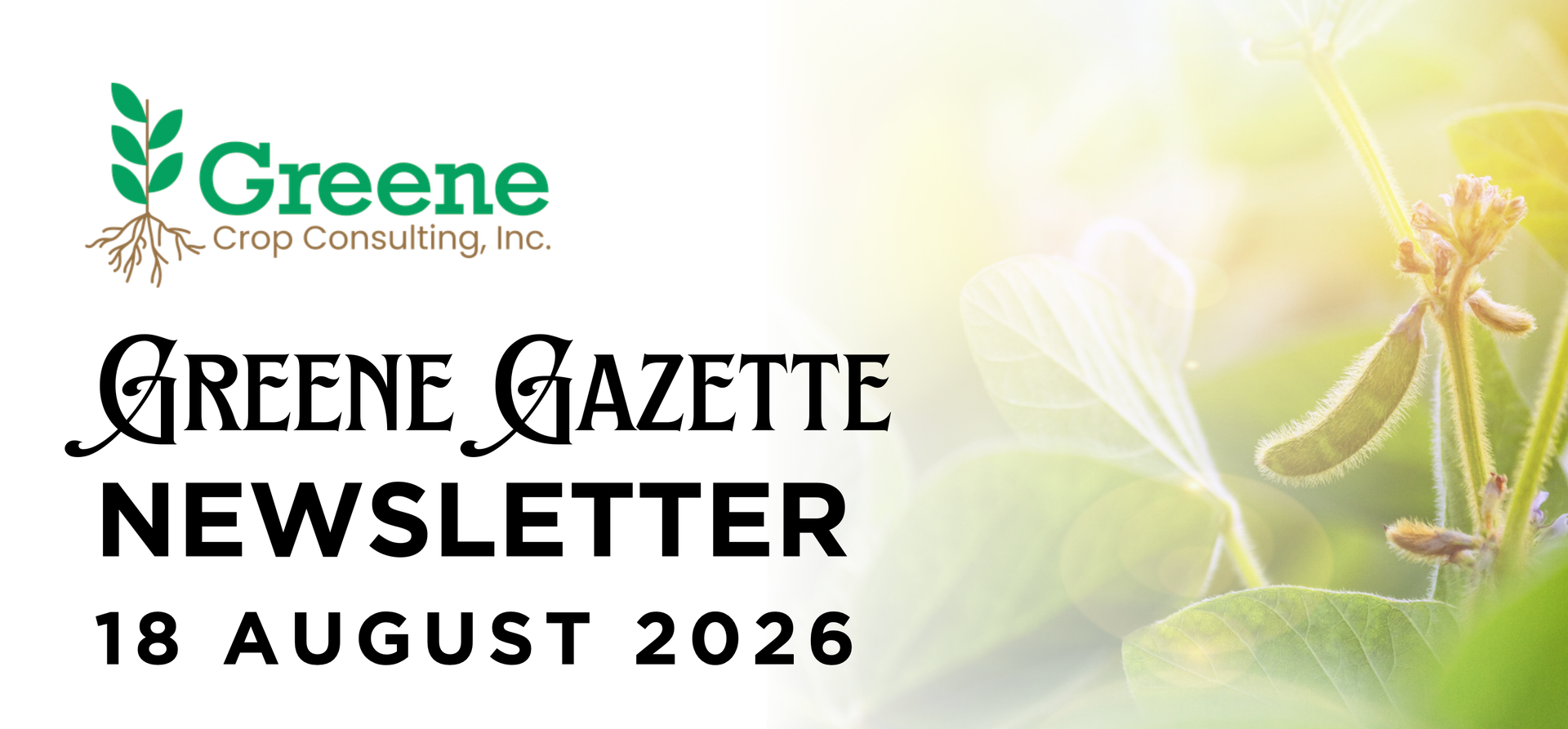 Greene Gazette newsletter 