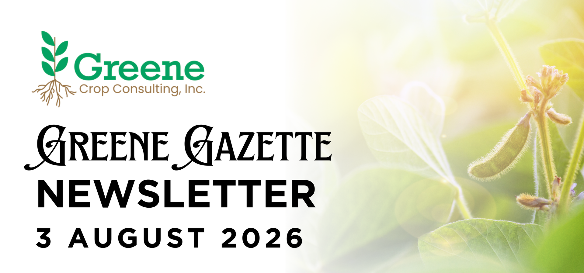 Greene Gazette newsletter 