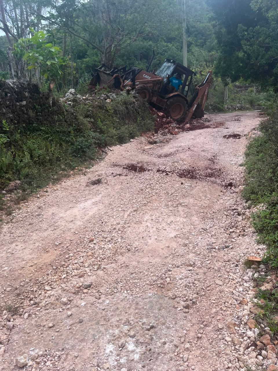 Backhoe clearing rural access road