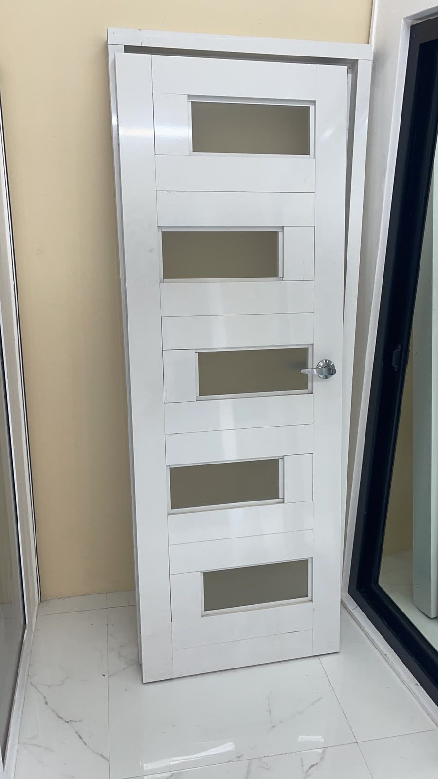 Modern glass panel interior door
