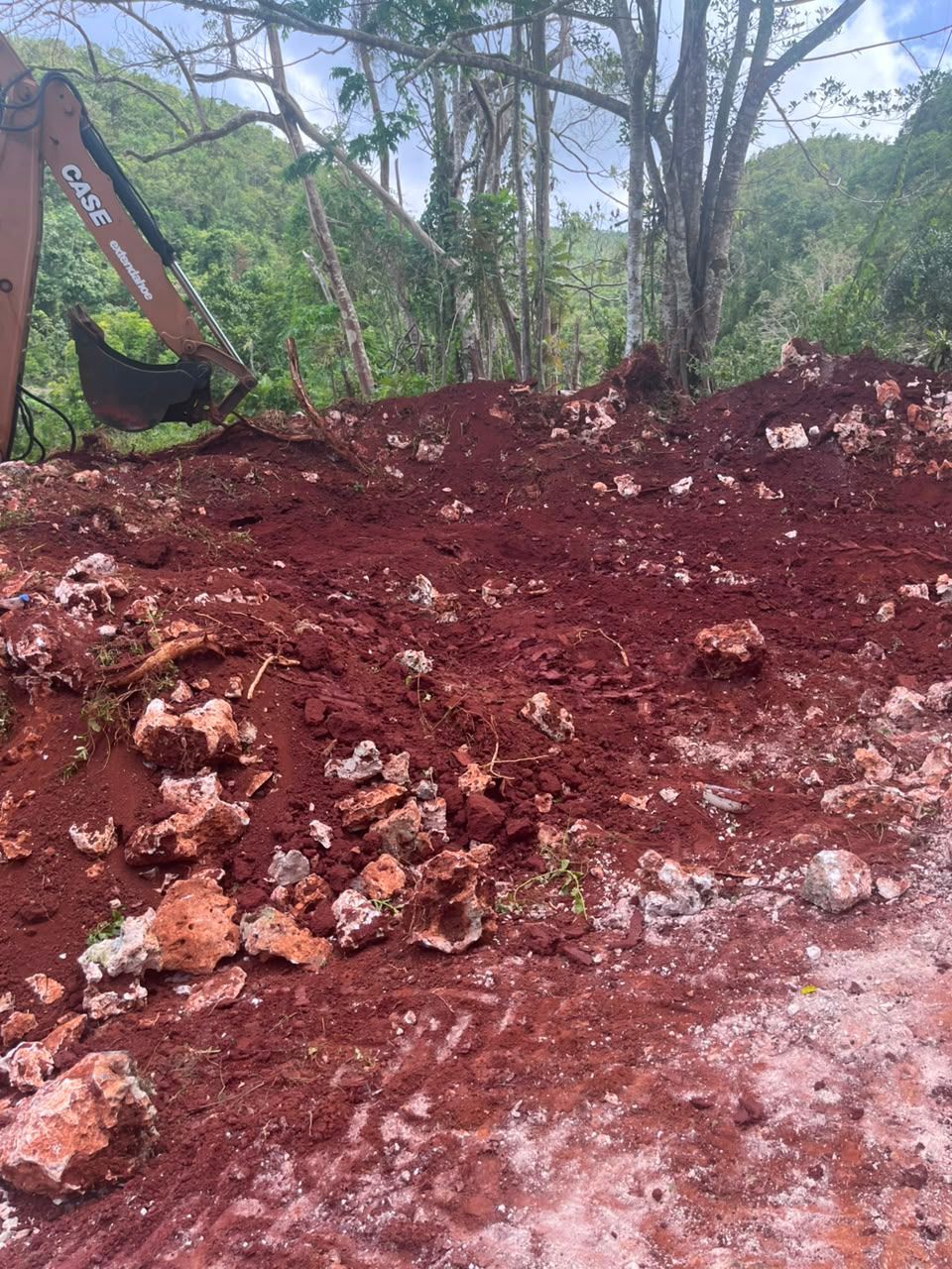 Excavator bucket clearing wooded lot