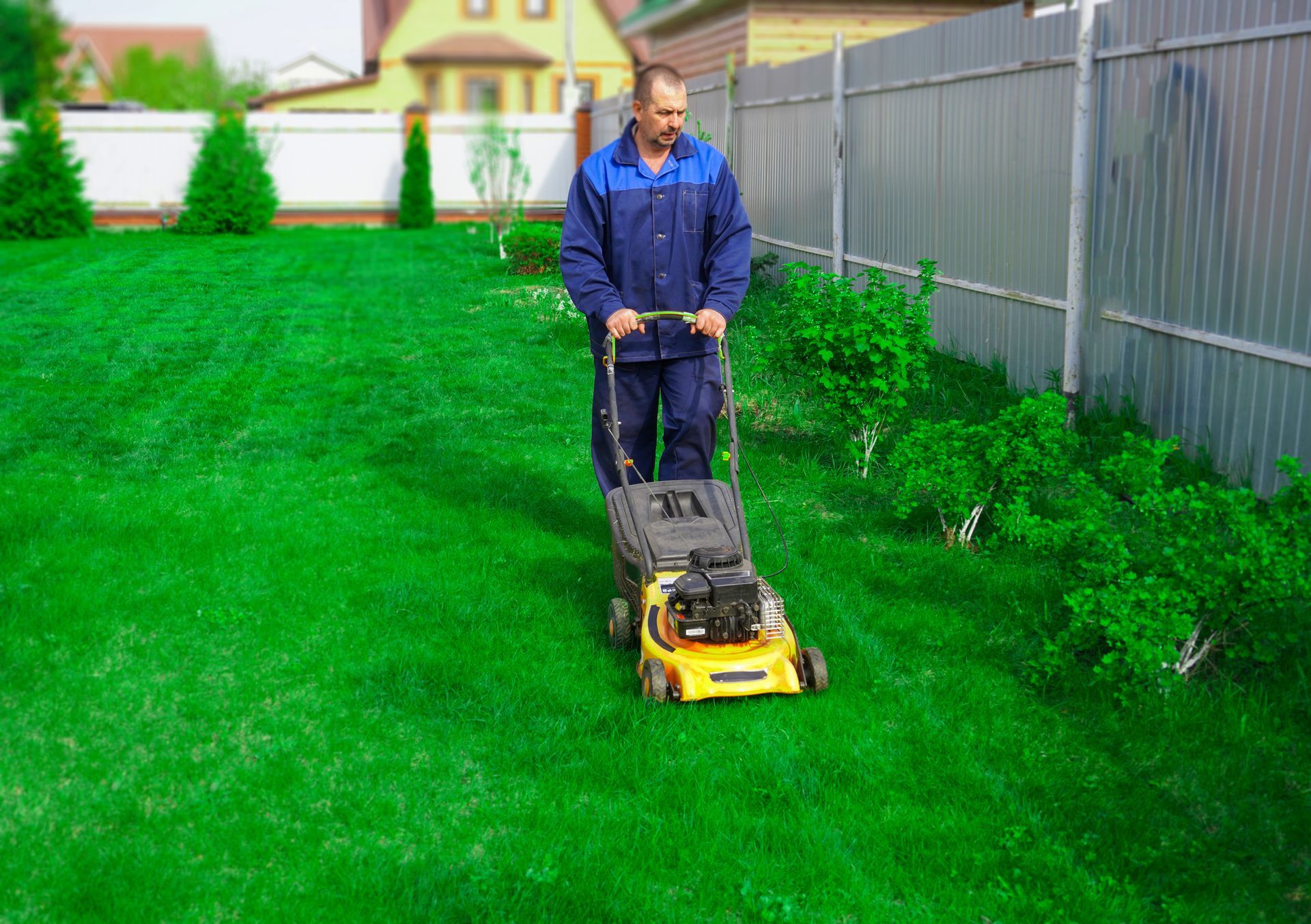 Essential Tips for Residential Landscaping