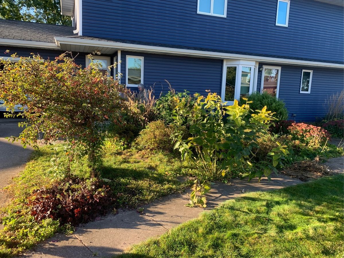 Flower Bed Maintenance 