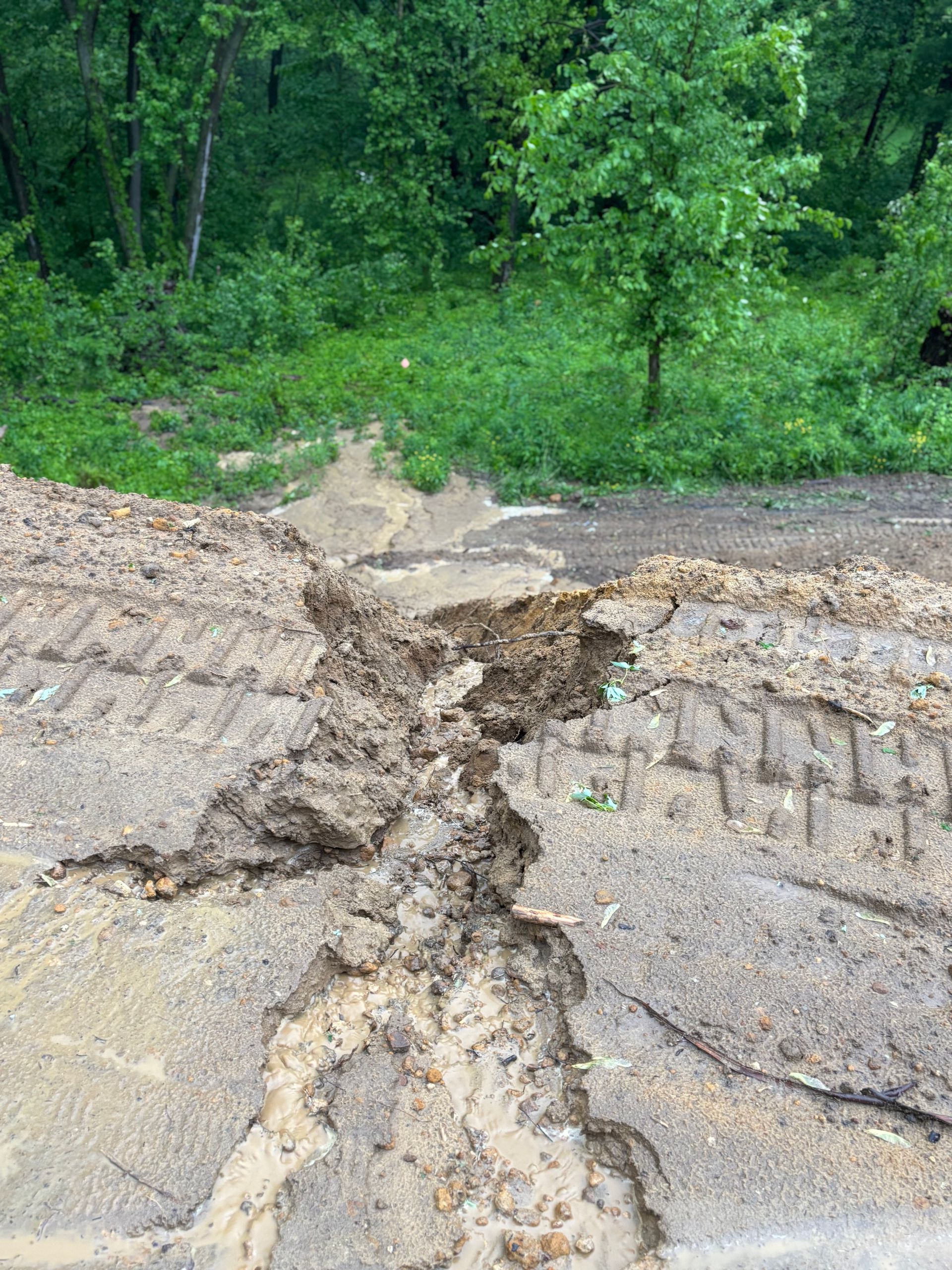 Cracked dirt road with tire tracks; green trees and foliage in the background.