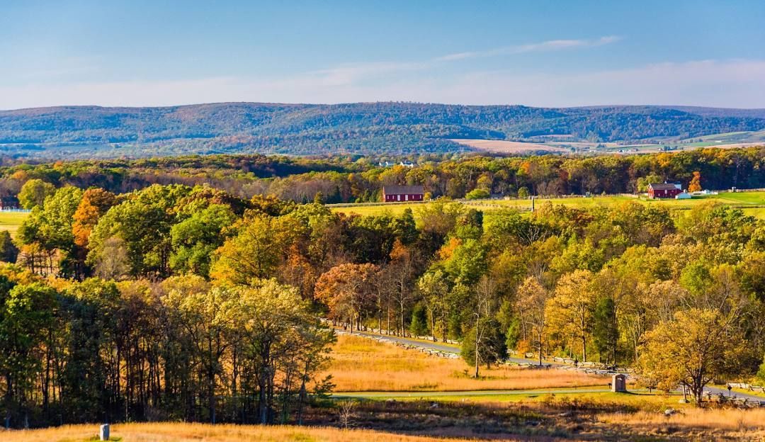 Autumn landscape with golden and green trees, a distant forest, and blue sky.