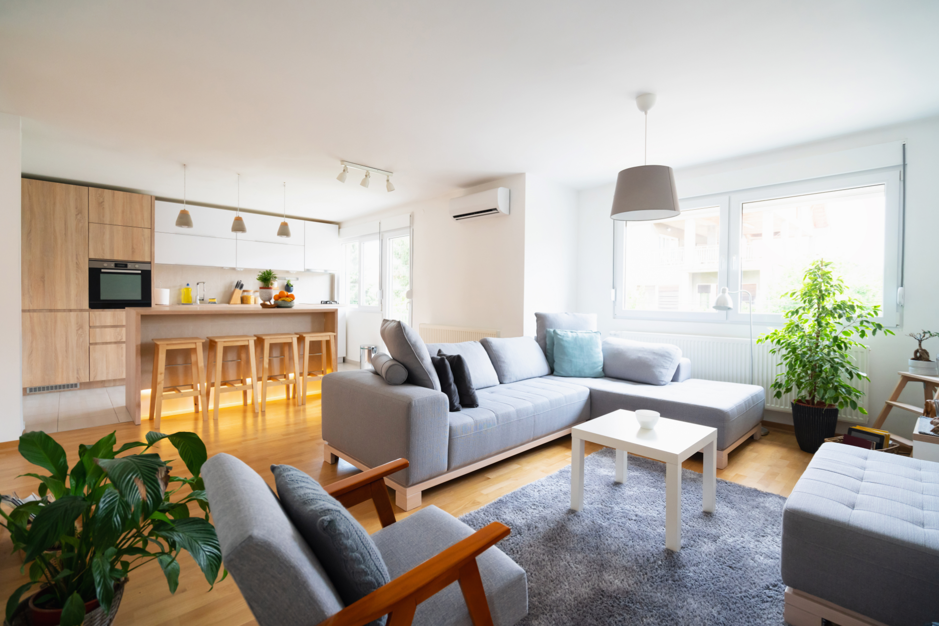 A modern, open-concept living room and kitchen featuring a grey sectional sofa, wooden accents, and a large indoor plant.