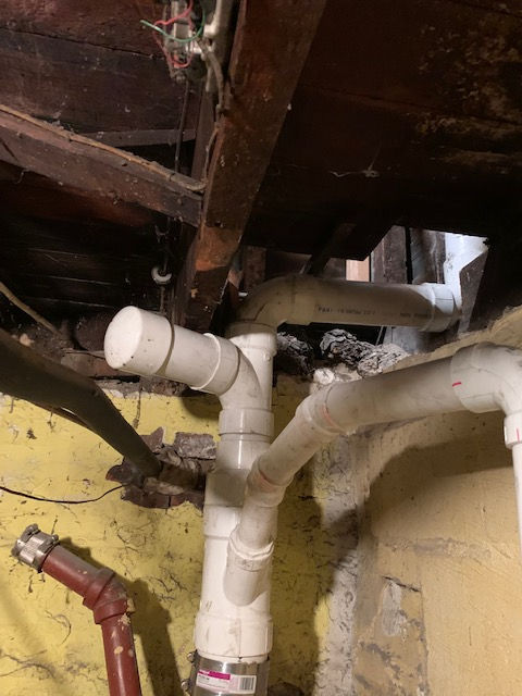 White PVC plumbing pipes connected with a T-junction and capped end, installed against a basement wall and wooden joists.