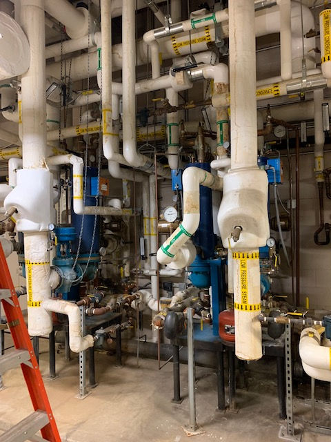 Industrial boiler room with numerous insulated white pipes and blue mechanical equipment, including a red ladder on the left.