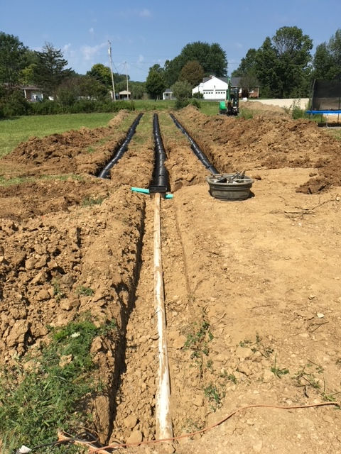 A wide-angle view of a septic system installation in a grassy yard, showing three drainage trenches and a round riser.